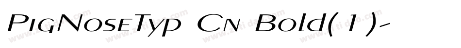 PigNoseTyp Cn Bold(1)字体转换
